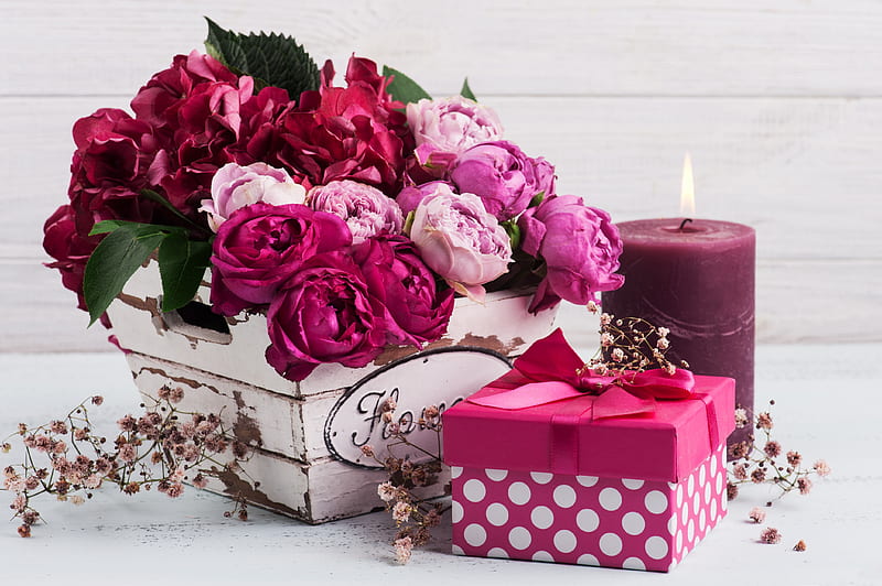 graphy, Still Life, Candle, Flower, Gift, HD wallpaper