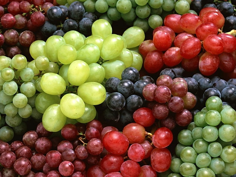 Grapes, red, green, struguri, texture, autumn, toamna, black, food, fruit, HD wallpaper