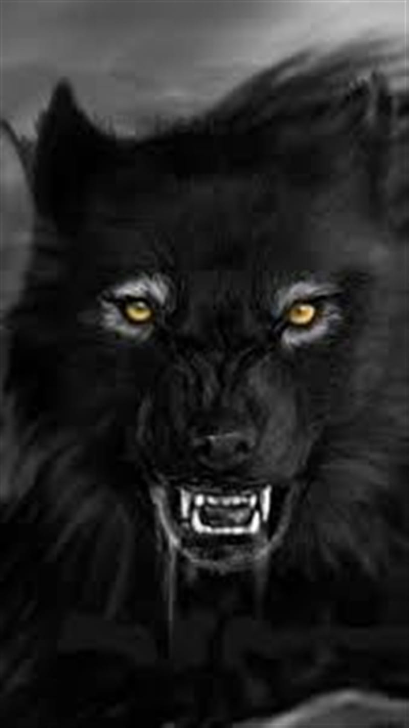 Black Wolf, black, korku, kurt, black, wolf, HD phone wallpaper