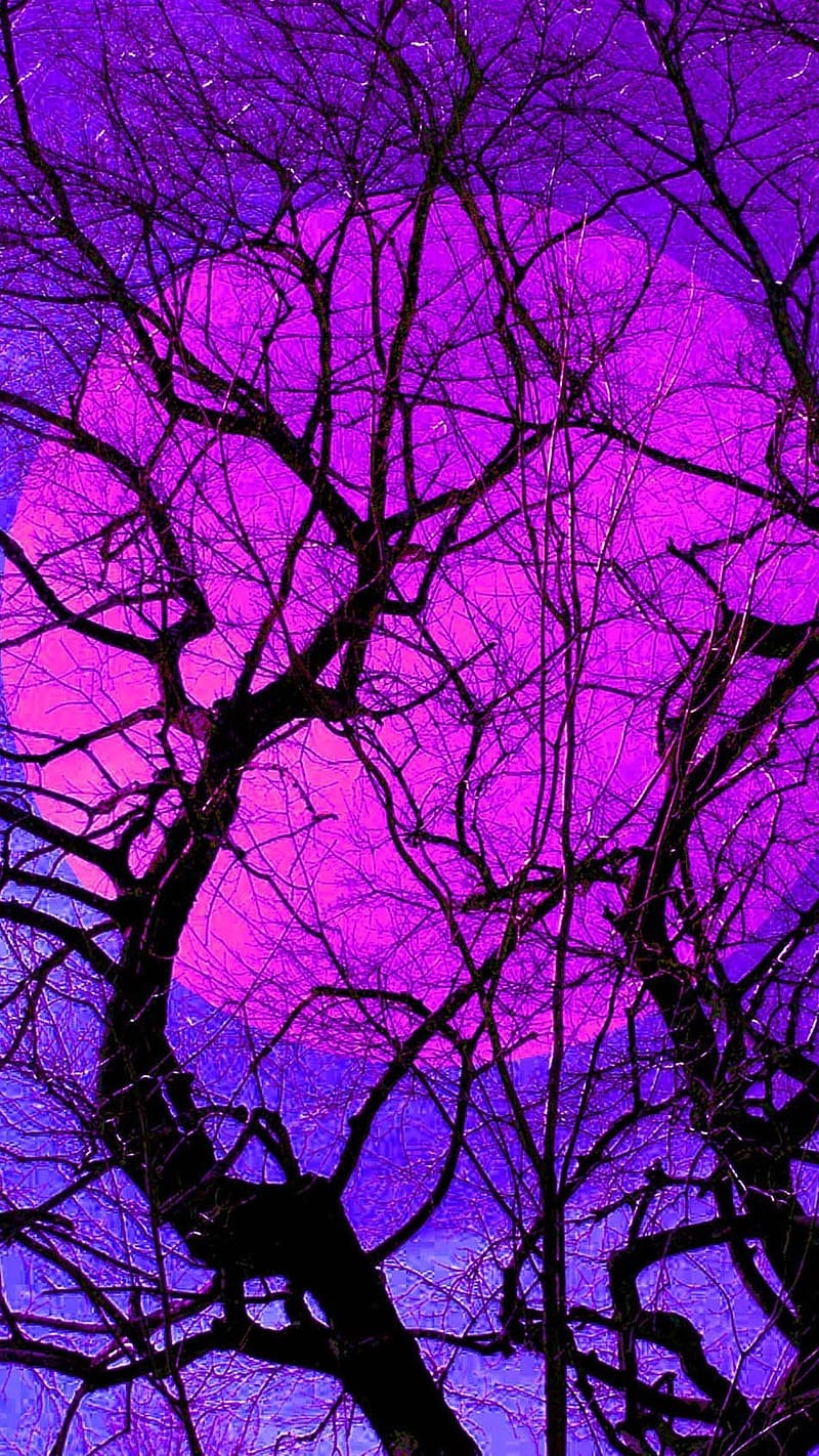 Aesthetic Purple, Pink Moon, trees, HD phone wallpaper | Peakpx