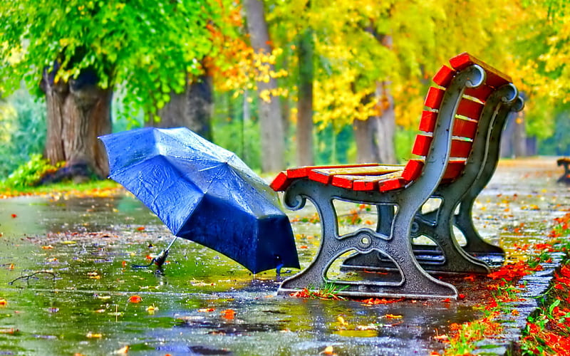 Autumn Rain, Fall, leaves, wet, bench, umbrella, rain, trees, Autumn, HD wallpaper