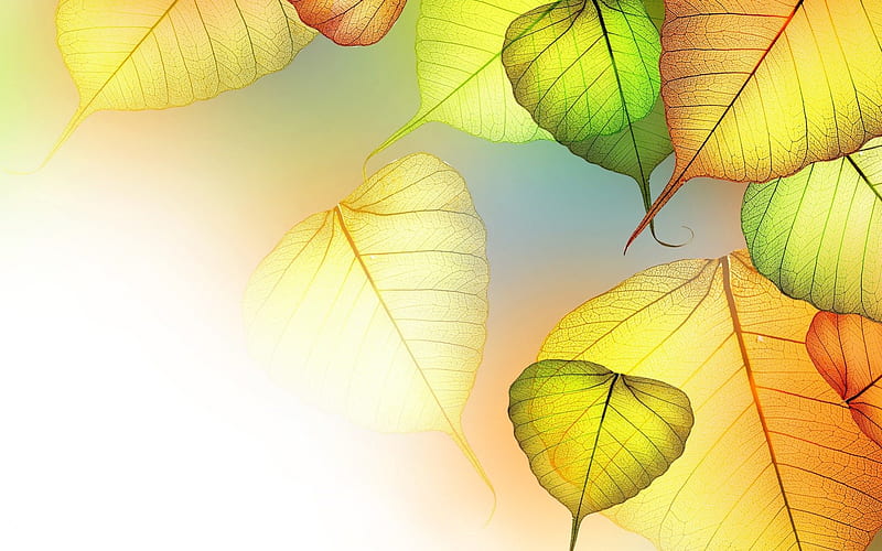 Transparency, art, leaves, bright colors, texture, yellow, leaf, HD wallpaper