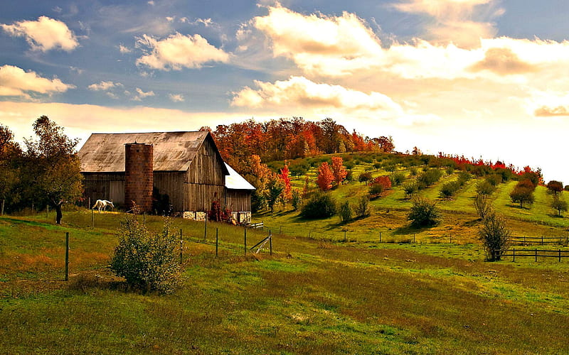 Barn, Autumn Barn, HD wallpaper | Peakpx