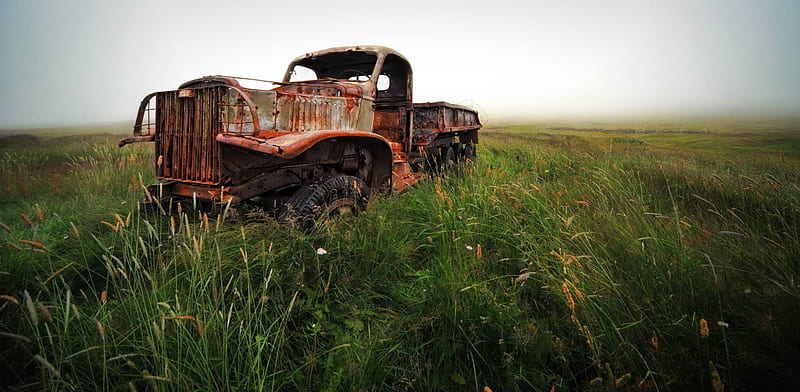 yesteryear, truck, old, grass, field, HD wallpaper