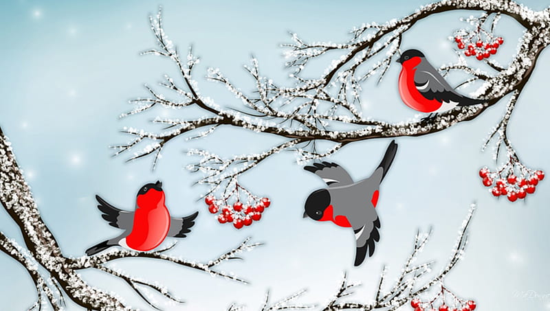 Winter Sweet Bullfinch, Christmas, finches, birds, trees, sky, winter, 3D, snow, berries, ice, frost, HD wallpaper