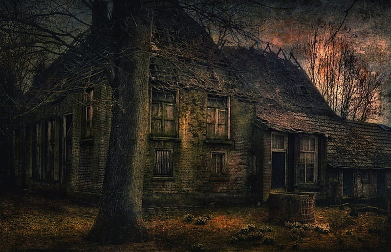 Old House In The Woods, creepy, house, old, woods, HD wallpaper