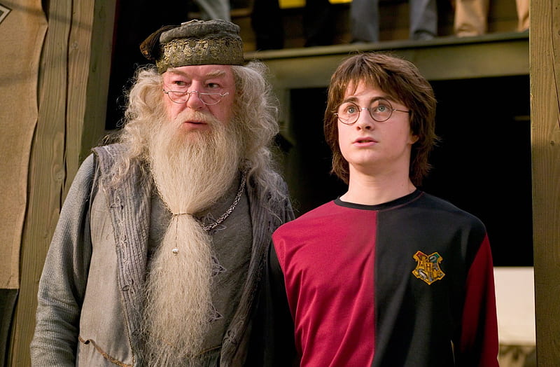 Harry Potter, Harry Potter and the Goblet of Fire, Albus Dumbledore , Michael Gambon , Harry Potter , Daniel Radcliffe, HD wallpaper