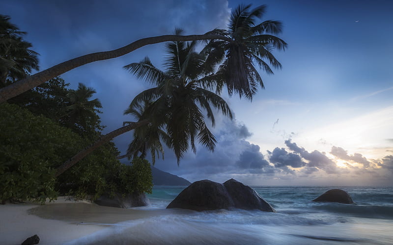 sunset, evening, beach, ocean, palm trees, Indian Ocean, Seychelles, HD wallpaper