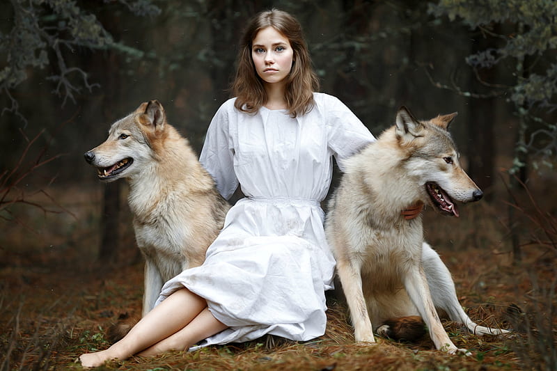 Girl with her Dogs, brunette, dress, model, dogs, HD wallpaper | Peakpx