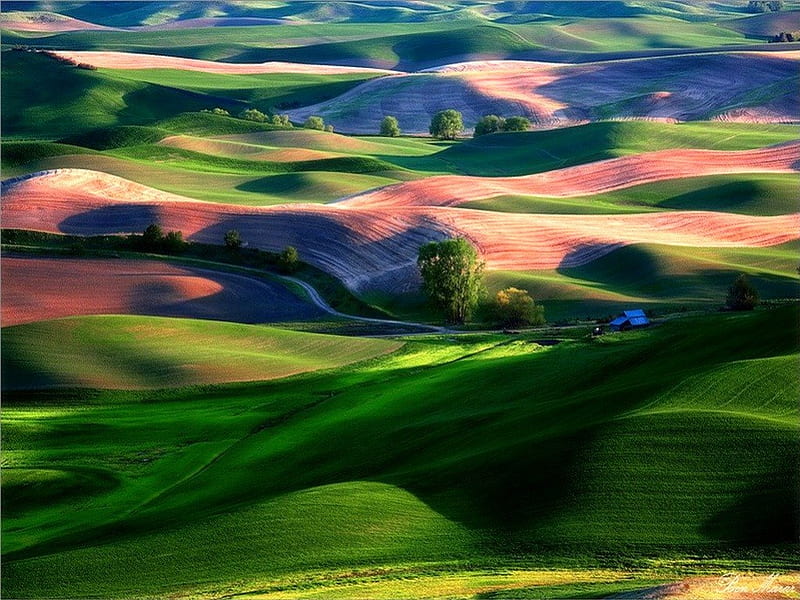 Colorful hills, colors, hills, rolling, grass, HD wallpaper