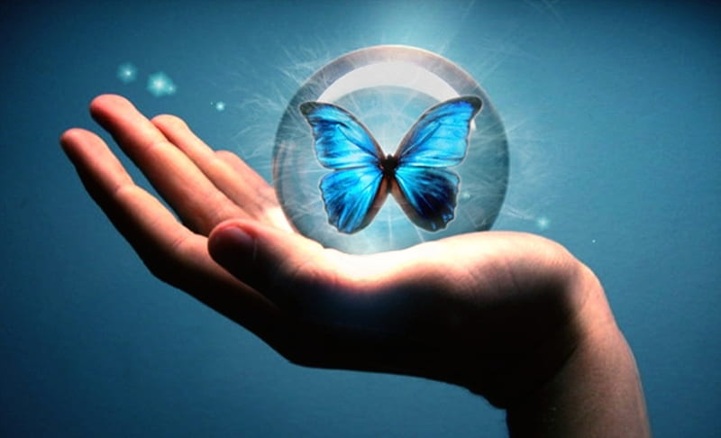 εїз Blue Butterfly, wings, butterfly, hand, abstract, blue, HD wallpaper