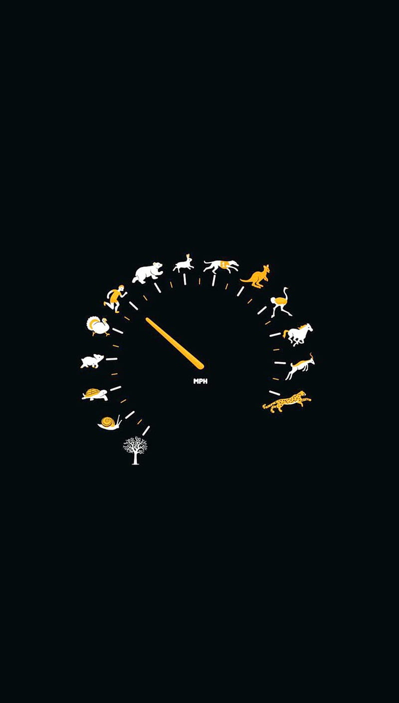 Speedometer Wallpaper | Speedometer in a car. | Flickr