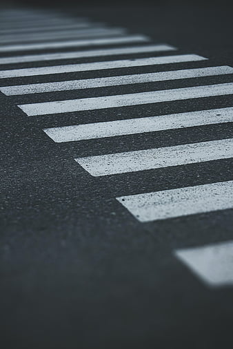 HD wallpaper: japan, shibuya crossing, crosswalk, tokyo, city, building  exterior | Wallpaper Flare