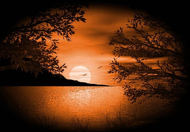 Shimmering Sunset, full moon, sunset, shimmering water, silhouette, trees, HD wallpaper