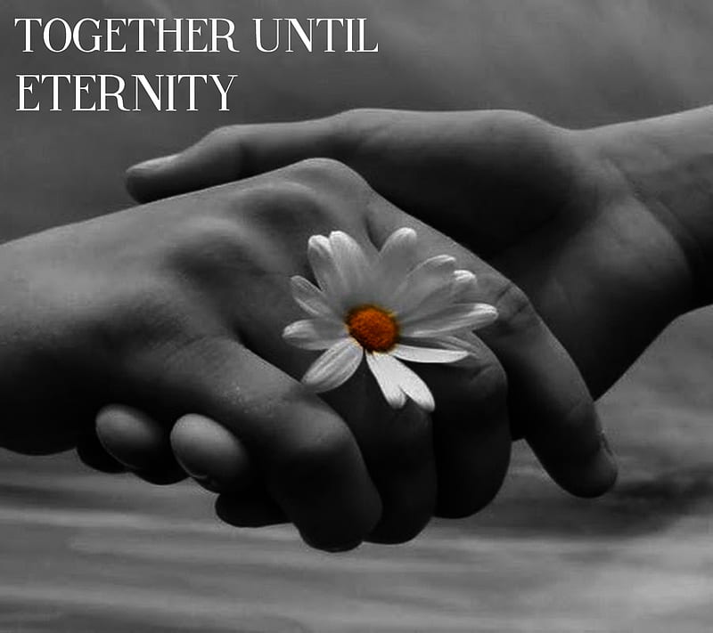 Together, love, together forever, HD wallpaper