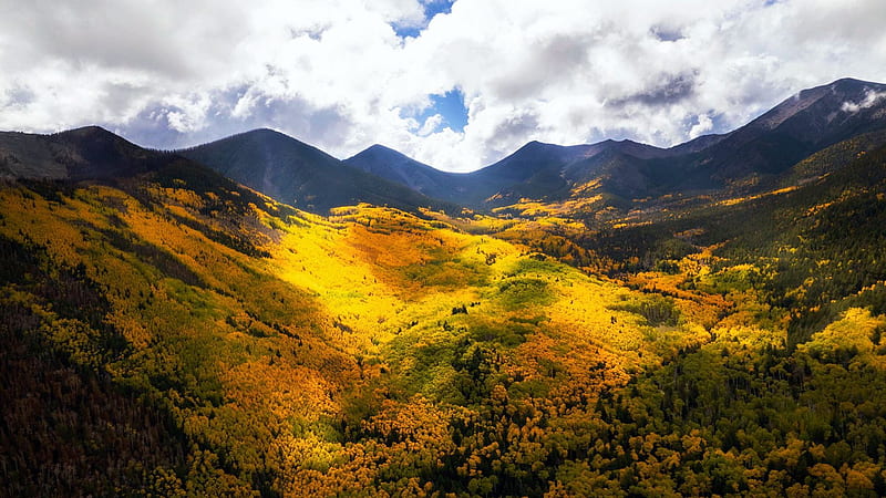 Probably best foliage in SW, Flagstaff, Arizona, leaves, fall, peaks, clouds, landscape, trees, colors, sky, usa, HD wallpaper