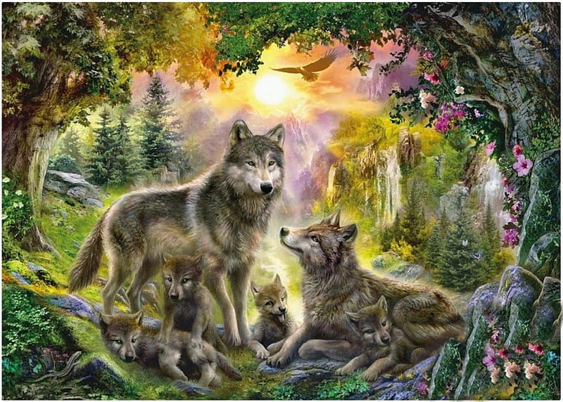 AUTUMN WOLF FAMILY, PUPS, SUN, AUTUMN, EAGLE, FLOWERS, WOLVES, FOREST, HD wallpaper