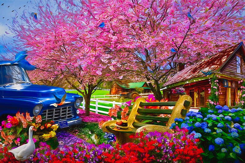 Home is Where the heart Is, blossom, pick up, flowers, painting, bench, spring, truck, goose, farm, HD wallpaper
