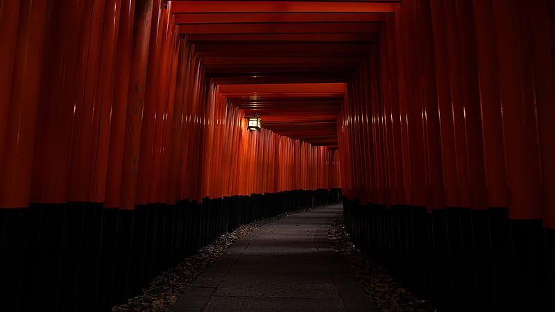 Japan Kyoto 2021 Red Passageway, HD wallpaper