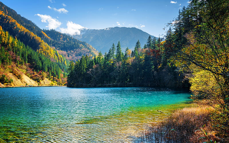 Tibet Jiuzhaigou National Park, autumn, forest, chinese landmarks, blue lake, Asia, China, HD wallpaper