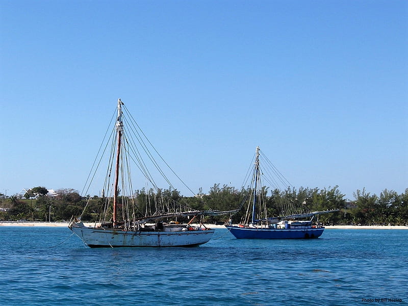 Trading Sloops, Nassau, Bahamas, Haitian Sloops, commercial sail, sailboats, Nassau, HD wallpaper