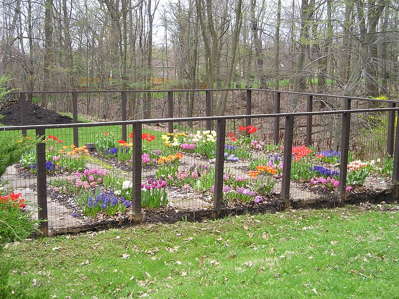 The Fortress, spring, tulips, Brecksville, Ohio, HD wallpaper