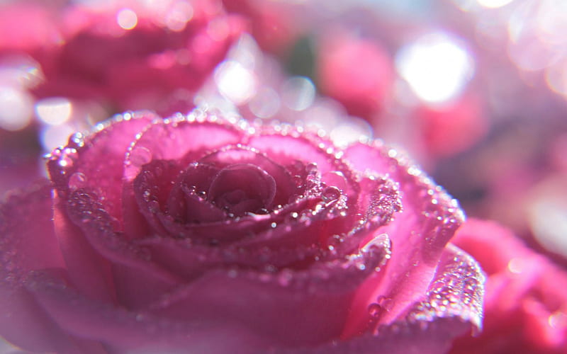 pink glitter flower wallpaper