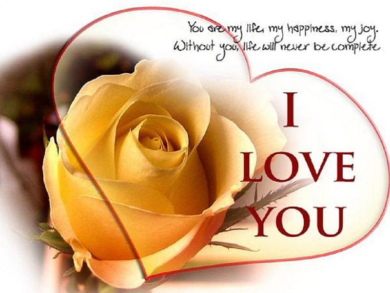 I love You, Rose, Love, Heart, Romantic, HD wallpaper | Peakpx