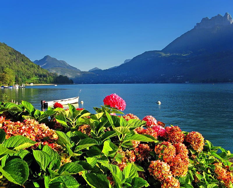 Lake Annecy, France, pretty, shore, lakescape, Annecy, France, bonito, sky, lake, boat, mountains, summer, flowers, nature, blue, HD wallpaper