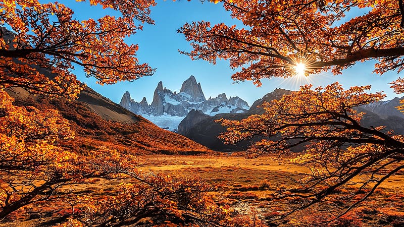 Autumn Morning In The Dolomites, Italy, leaves, rocks, fall, landscape, trees, colors, HD wallpaper