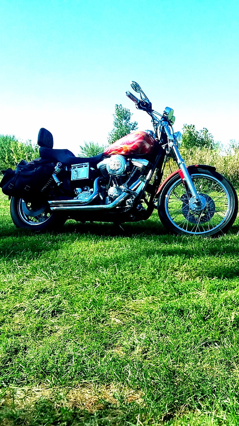 Harley dyna, harley davidson, motorcycle, bike, dyna, dyna wide glide, HD phone wallpaper