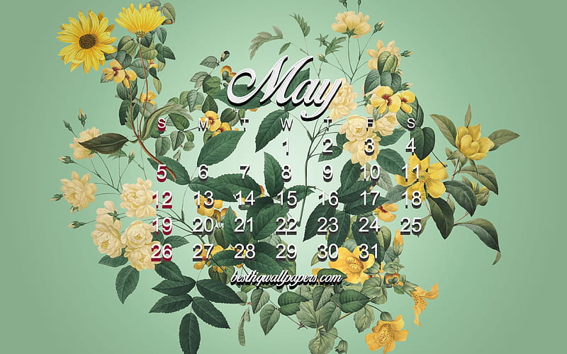 2019 May calendar, spring background, floral background, 2019 calendars, creative art, calendar for May 2019, green background, roses, May, HD wallpaper