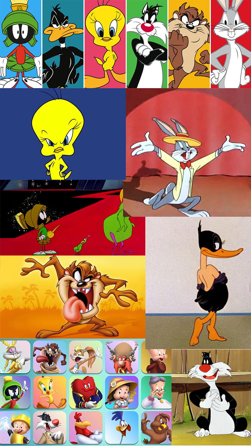 Woody Woodpecker, 80s, 90s, bird, cartoon, looney, looney tune, looney tunes,  HD wallpaper Peakpx