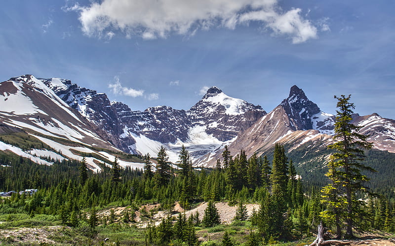Alberta mountains, forest, summer, Banff National Park, Canada, HD wallpaper