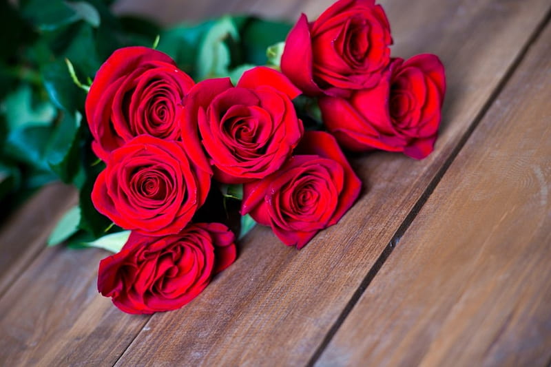 Red, flowers, graphy, roses, HD wallpaper | Peakpx