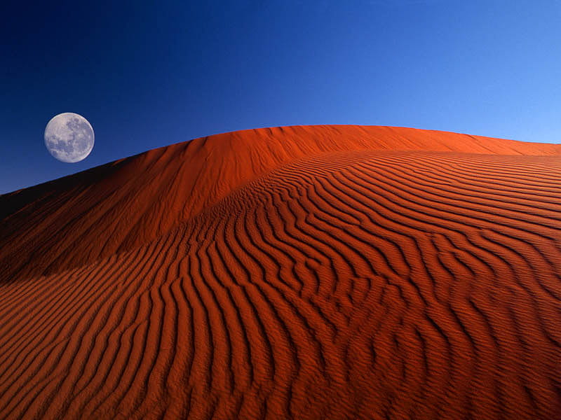 Red moon desert, HD wallpaper