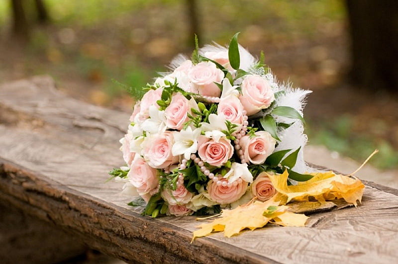 Autumn Bouquet, autumn, lovely, bench, bonito, roses, pink rose, leaves ...