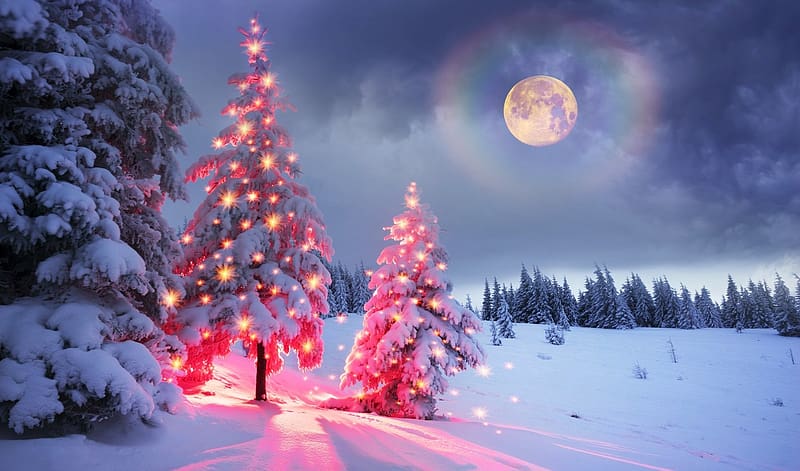 Outdoor Decorated Trees, winter, moon, Christmas, scenic, snow, lights ...