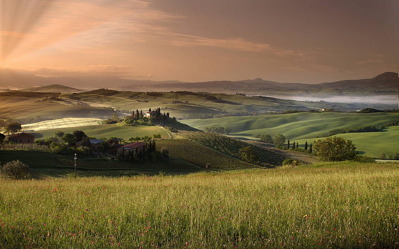 1920x1080px, 1080P free download | Tuscany landscape 2, Trees, Grass ...