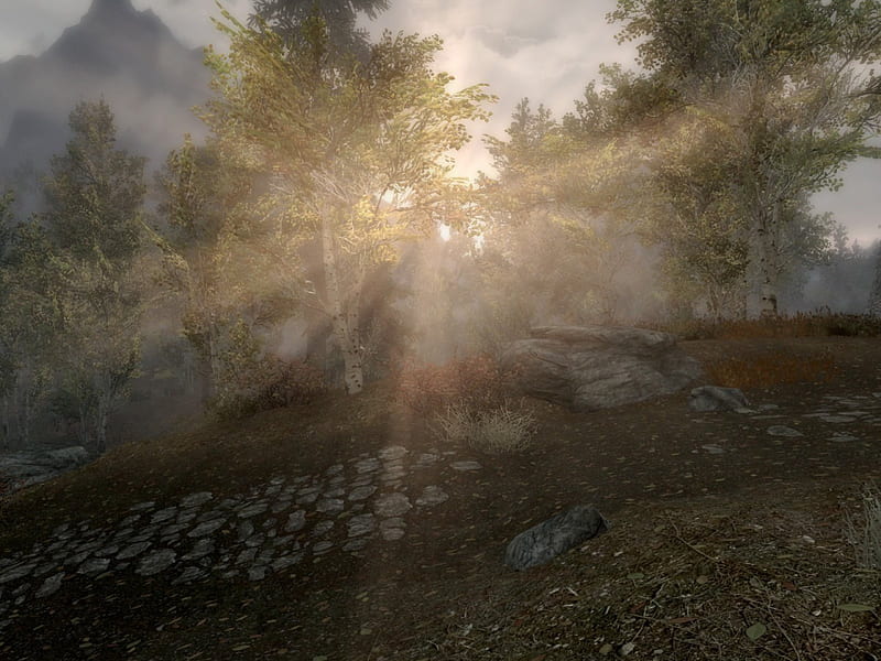 A brand new day, Fall, sunlight, ground, trees, clouds, bushes, mist, leafs, mountain, pathway, Skyrim, HD wallpaper