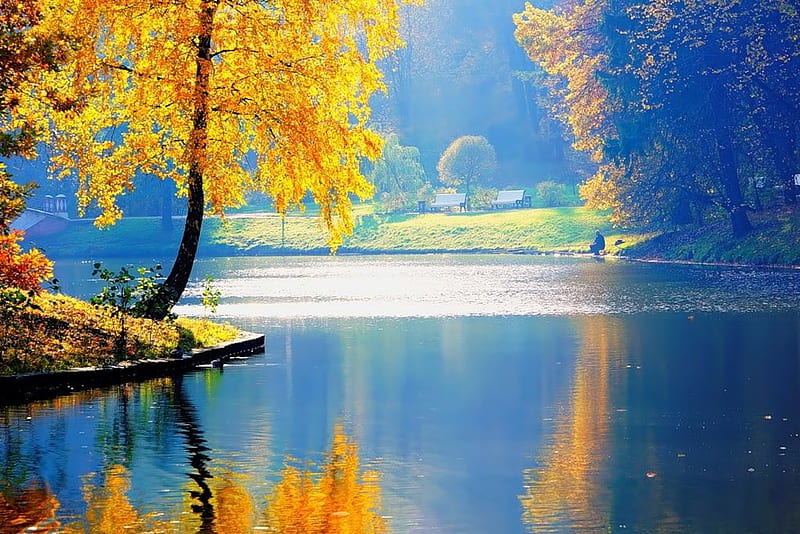 Silent lake, Lake, Trees, Autumn, Foggy, HD wallpaper | Peakpx