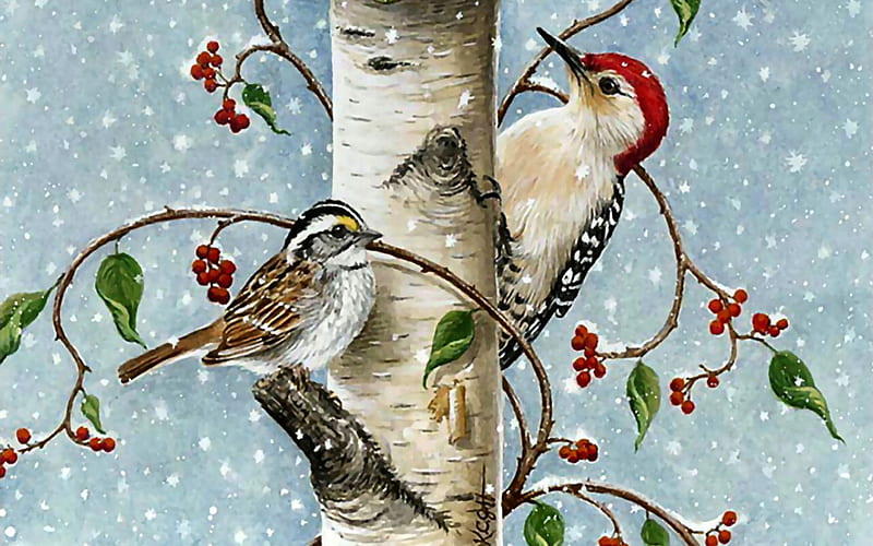 Birch Tree Buds F2C, art, Sparrow, artwork, animal, winter, bird, snow, avian, painting, wide screen, wildlife, woodpecker, HD wallpaper