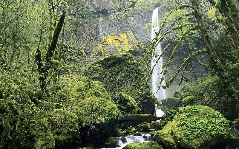 Oregon-Columbia River Gorge National Scenic, HD wallpaper