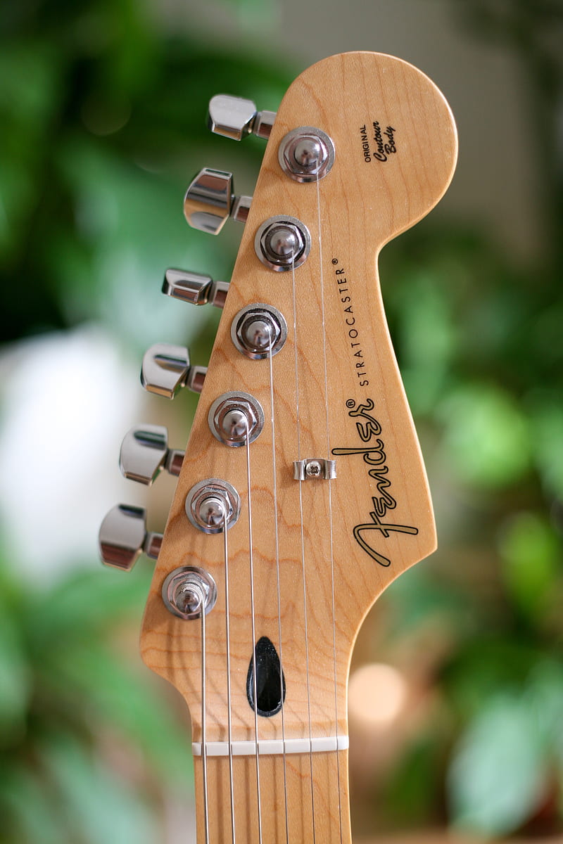 Fender Stratocaster Electricguitars Headstock Strat Hd Phone Wallpaper Peakpx