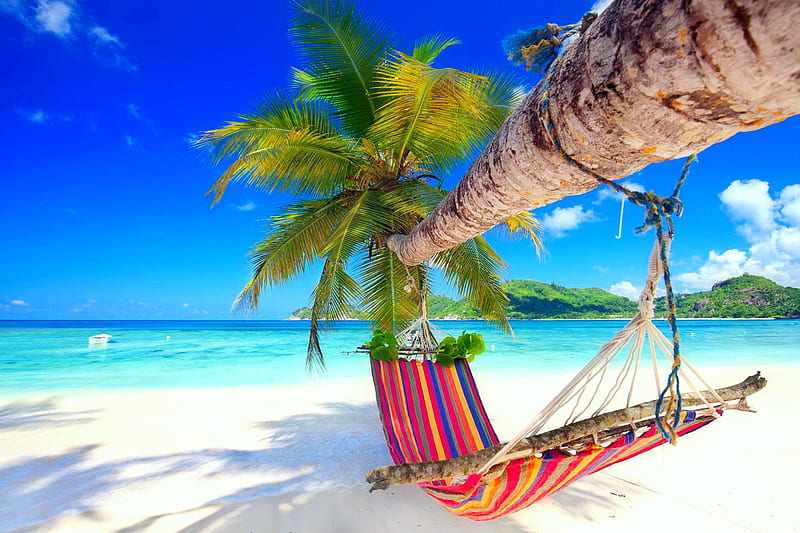 Beach hammock, exotic, ocean, bonito, hammock, sky, palms, sea, beach, paradise, summer, island, tropics, sands, HD wallpaper