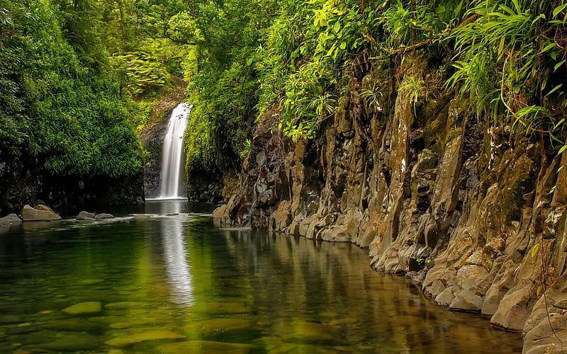 Wainibau Waterfall, beautiful waterfall, rain forest, jungle, Taveuni Island, Fiji, HD wallpaper