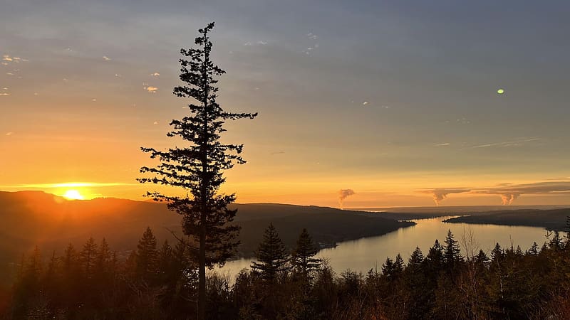 Chanterelle Trail, Lake Whatcom Park, Washington, sunset, landscape, trees, colors, sky, forest, usa, HD wallpaper