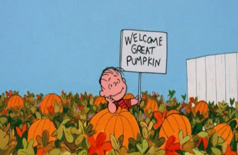 Linus Waiting For The Great Pumpkin, pumpkin patch, halloween, linus, peanuts, HD wallpaper