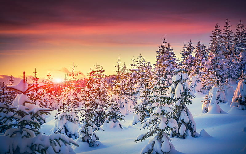 Winter Sunset, colors, sky, trees, snow, HD wallpaper | Peakpx