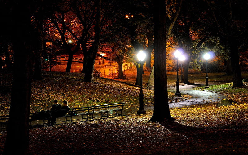 park at night-the city landscape graphy, HD wallpaper
